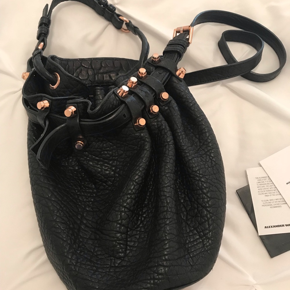Original with tags! ALEXANDER WANG bucket bag.